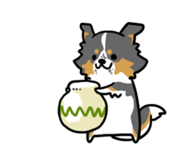 BORDER COLLIE & Friends sticker #13369572