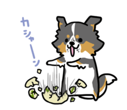 BORDER COLLIE & Friends sticker #13369573