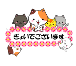fcf cat part22 sticker #13370722