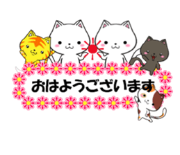 fcf cat part22 sticker #13370723