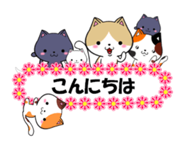 fcf cat part22 sticker #13370724
