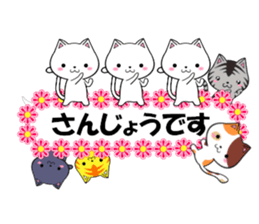 fcf cat part22 sticker #13370726