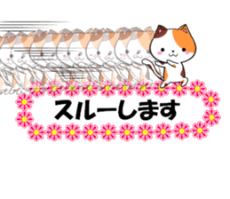 fcf cat part22 sticker #13370727