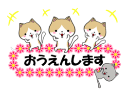 fcf cat part22 sticker #13370728