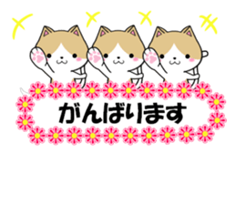 fcf cat part22 sticker #13370737