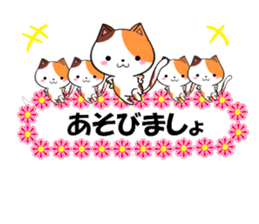 fcf cat part22 sticker #13370739