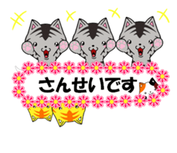 fcf cat part22 sticker #13370746