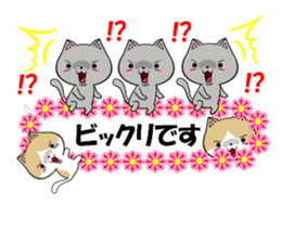 fcf cat part22 sticker #13370748