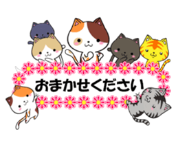 fcf cat part22 sticker #13370749