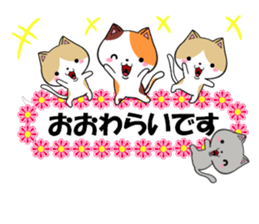 fcf cat part22 sticker #13370753