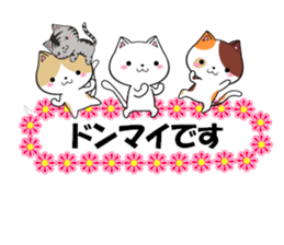 fcf cat part22 sticker #13370756