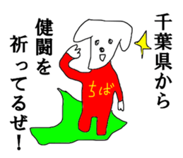 CHIBA guide sticker #13373206