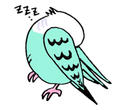 Q & P the budgies sticker #13374110