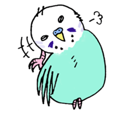 Q & P the budgies sticker #13374113