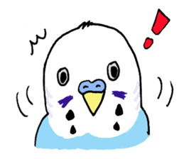 Q & P the budgies sticker #13374114