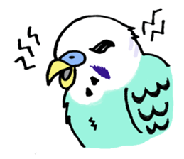 Q & P the budgies sticker #13374116