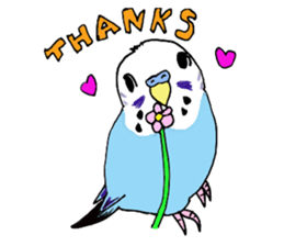 Q & P the budgies sticker #13374117