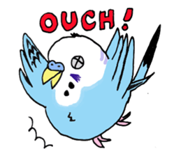 Q & P the budgies sticker #13374118