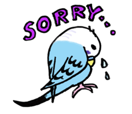 Q & P the budgies sticker #13374119