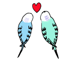 Q & P the budgies sticker #13374120