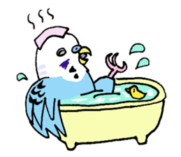 Q & P the budgies sticker #13374124