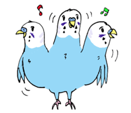 Q & P the budgies sticker #13374126