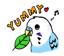Q & P the budgies sticker #13374127