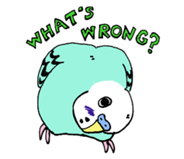 Q & P the budgies sticker #13374130