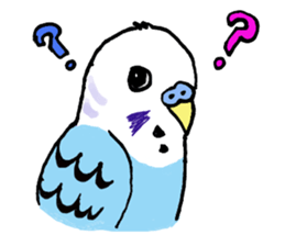 Q & P the budgies sticker #13374131