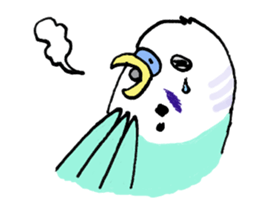 Q & P the budgies sticker #13374134