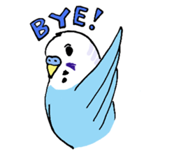 Q & P the budgies sticker #13374138