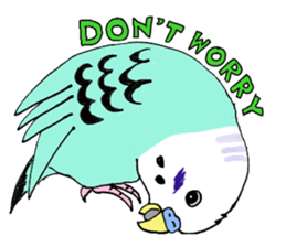 Q & P the budgies sticker #13374139