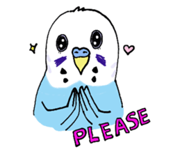 Q & P the budgies sticker #13374141