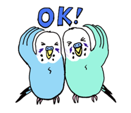 Q & P the budgies sticker #13374142