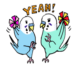 Q & P the budgies sticker #13374143