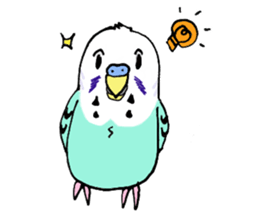 Q & P the budgies sticker #13374145