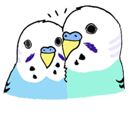 Q & P the budgies sticker #13374146