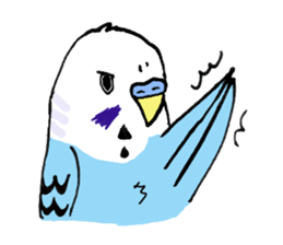 Q & P the budgies sticker #13374147