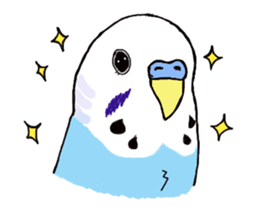 Q & P the budgies sticker #13374149