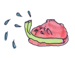 Mollusk sticker #13374387