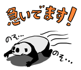 Super cute panda-kun sticker #13380233