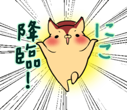 NIKO's exclusive sticker sticker #13381513