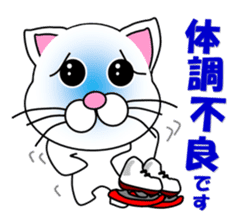 A white cat which skates sticker #13382141