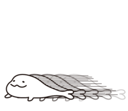 Drooping eyes dolphin sticker #13383260