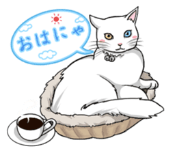 White cat of tsundere sticker #13384358