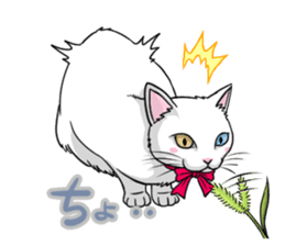 White cat of tsundere sticker #13384359
