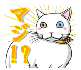 White cat of tsundere sticker #13384361