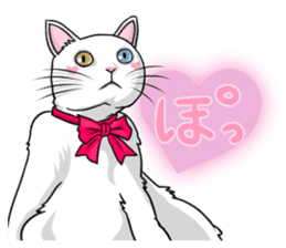 White cat of tsundere sticker #13384362