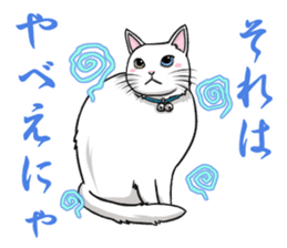 White cat of tsundere sticker #13384364