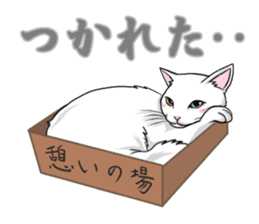 White cat of tsundere sticker #13384366